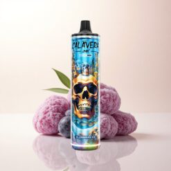 JNR Calavera 11000 Afine de Mure Gheață cu încărcare Type-C și 850 mAh