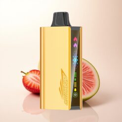 JNR Cruiser 12000 Afine Coco Pepene Metalic cu Nicotină 50mg/mL și Baterie 3500 mAh