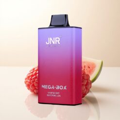 JNR Mega Box 25000 Zmeură Pepene Dual Mesh 850mAh