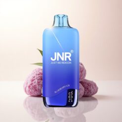 JNR Rainbow 10500 Afinei de Mure Gheață cu 5% Nicotină și Baterie 600mAh