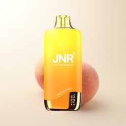 JNR Rainbow 10500 Piersic Mango-Piersic cu Nicotină 5% și Baterie 600mAh