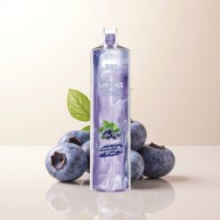 JNR Shisha Hookah 12000 Afine Menta cu 24ml și 750mAh