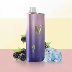 LV BAR 9000 Pufuri Mure Gheață 14 Arome
